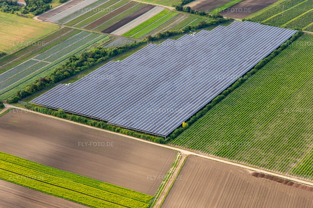 Luftbild: Große Freiland-PV-Anlage in Bürstadt im Bundesland Hessen in Deutschland. Foto: IMG_142746.jpg vom 19.07.2024 durch Werner Riehm/FLY-FOTO.de