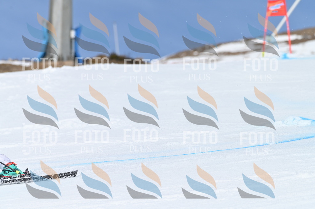 BGV_0793 | holidayphoto