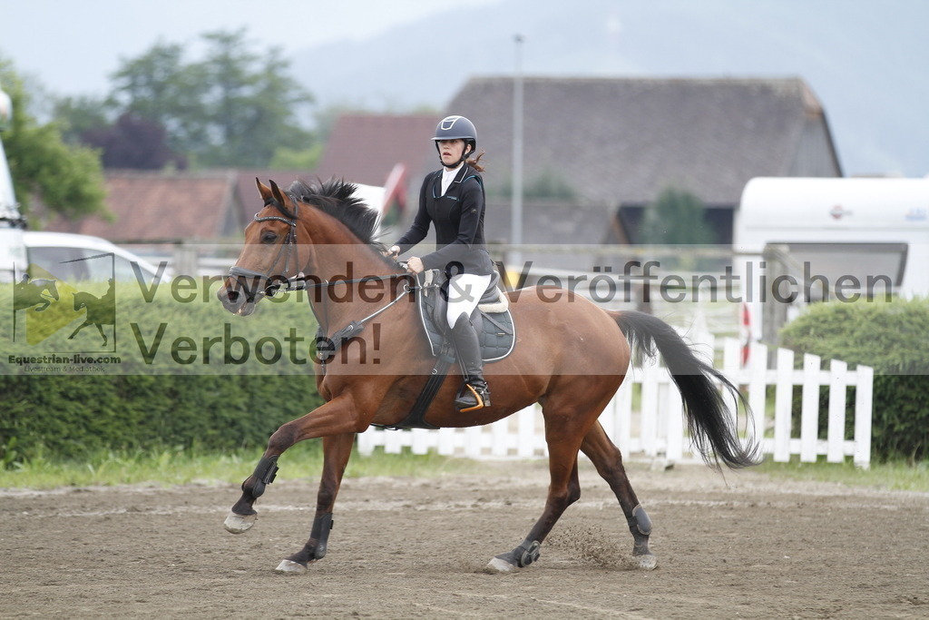 _MG_9599 | equestrian-live-com