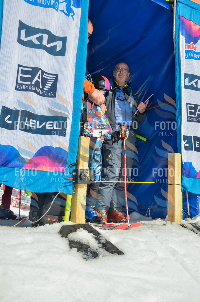 _ELE4318 | holidayphoto