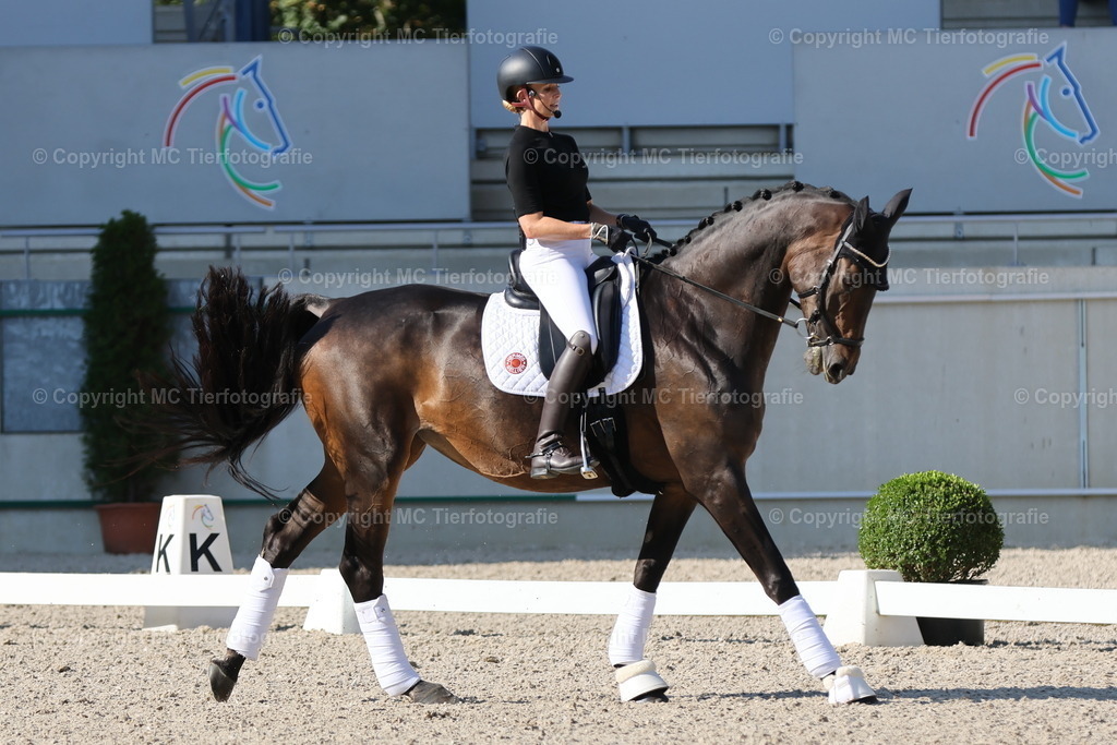 Live-TrainingJ.v.Bredow-Werndl21.09.24MC3H5A6180B | Pferdefotos online bestellen - Realisiert mit Pictrs.com