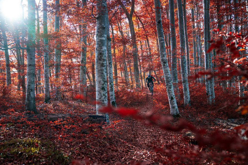 DSC07345 | Tinu Müller Fotografie- Bildershop - Realisiert mit Pictrs.com