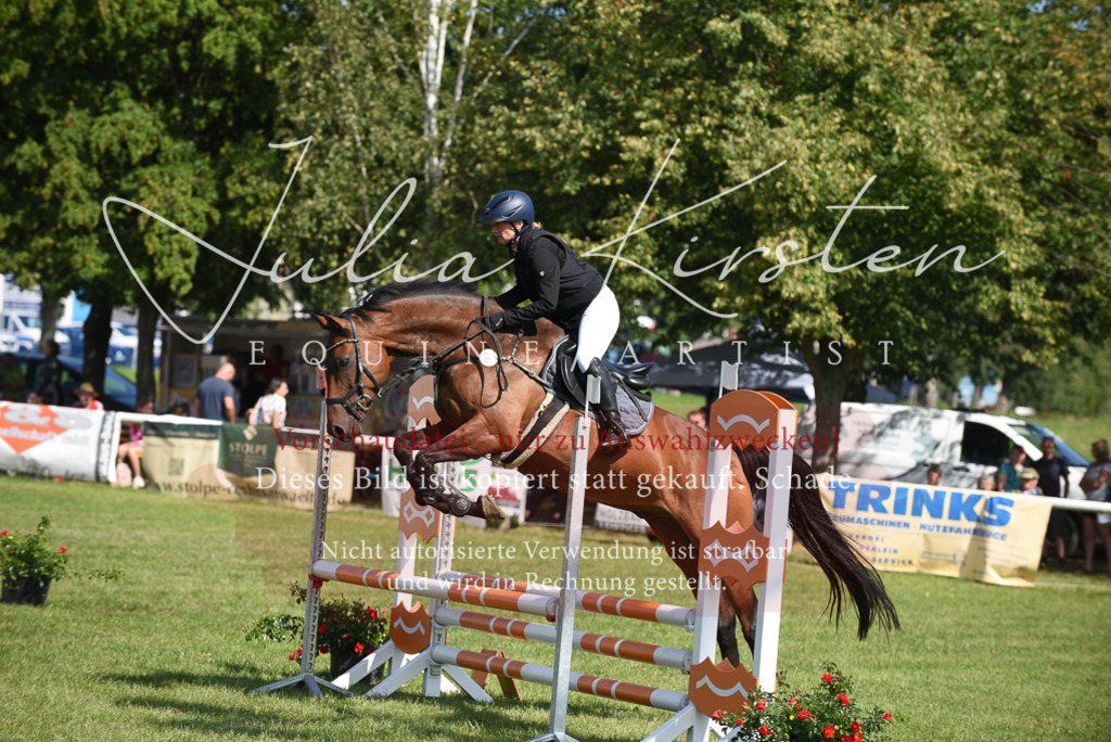 DSC_9105 | Pferde- und Turnierfotografie in Westsachsen. Pferdeportraits, Auftragszeichnungen und intuitive Kunst.