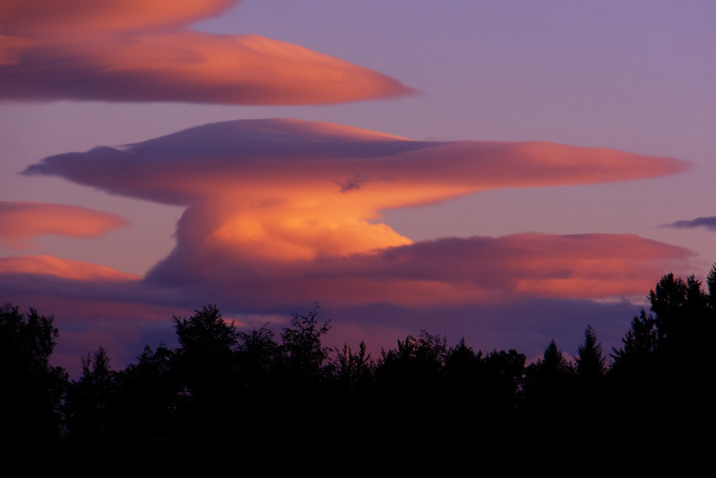 DSC09627_filter_150 | In diesem Shop werden vorwiegend künstlerisch hochstehende Aufnahmen aus dem Bereich der Naturfotografie zum Verkauf angeboten. - In this store mainly artistic high quality shots from the field of nature photography are offered for sale. - Realisiert mit Pictrs.com