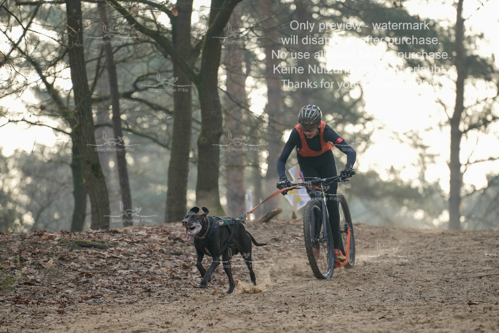 Scooter1-28 | stephaniefillaphotographie - Realisiert mit Pictrs.com