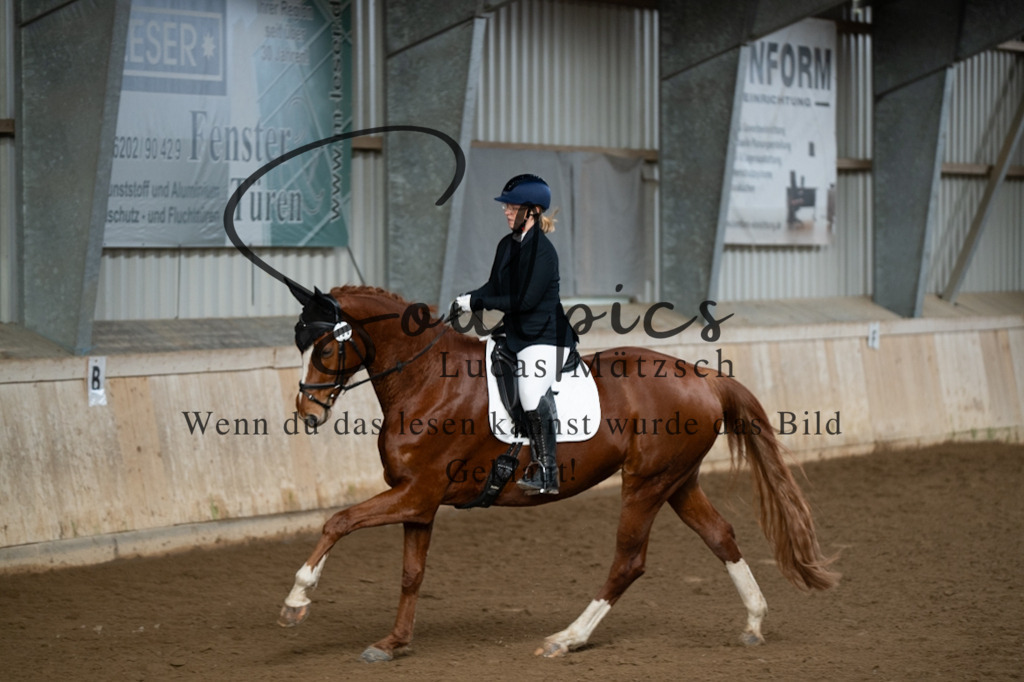 A7V04837 | Pferdefotograf