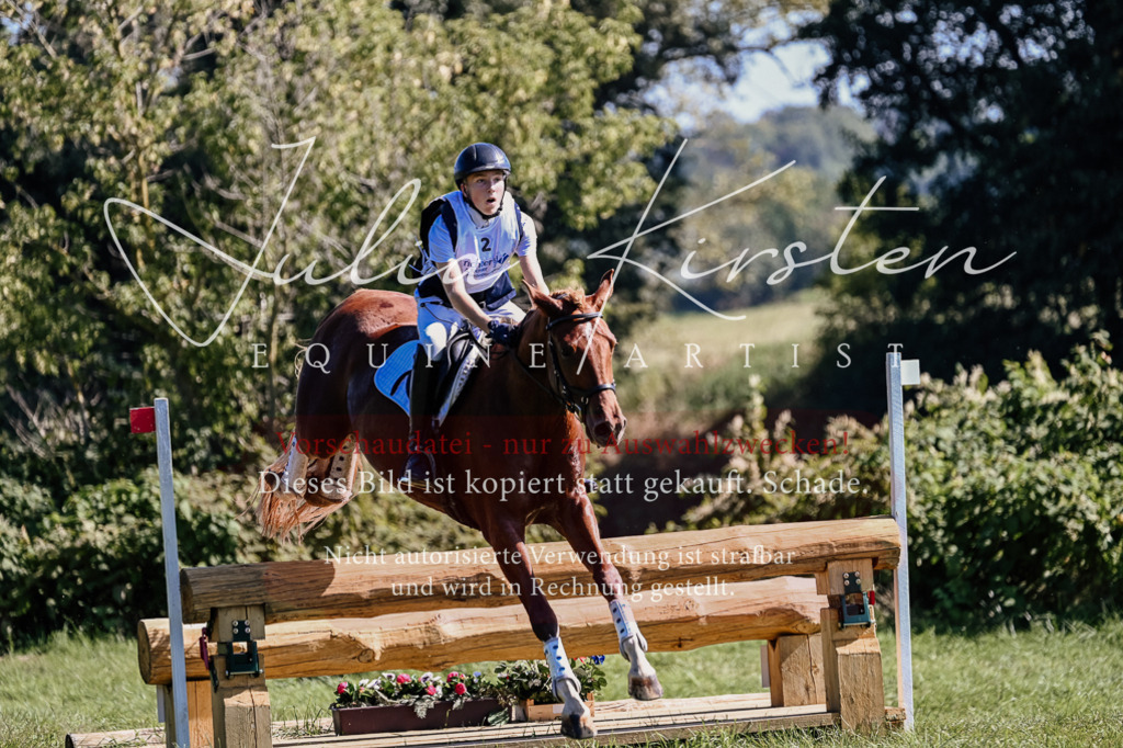 DSC_1364 | Pferde- und Turnierfotografie in Westsachsen. Pferdeportraits, Auftragszeichnungen und intuitive Kunst.
