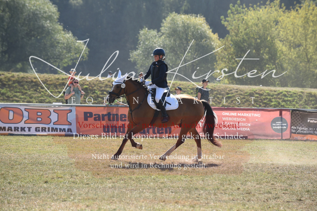 DSC_6025 | Pferde- und Turnierfotografie in Westsachsen. Pferdeportraits, Auftragszeichnungen und intuitive Kunst.