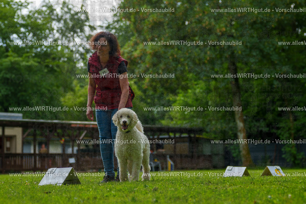 @allesWIRTHgut_Tierfotografie - www.allesWIRTHgut.de - 7R505232 | Professionelle Tierfotografie in Mönchengladbach von Daniel Wirth (allesWIRTHgut). Liebevolle & natürliche Bilder von Hunden & Katzen für unvergessliche Erinnerungen.