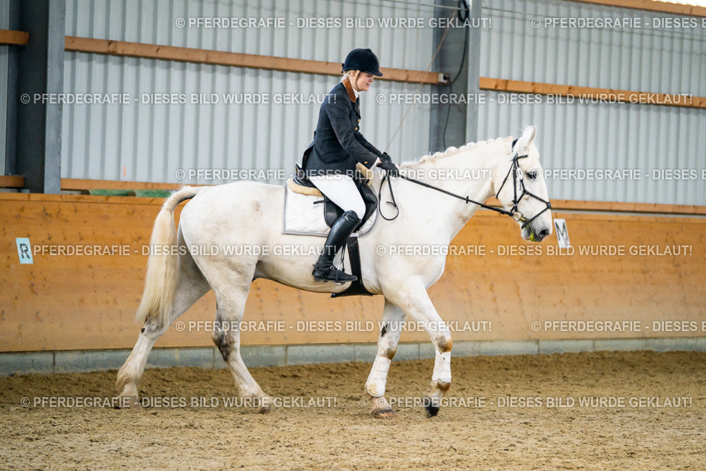 DSC00745 | Pferdegrafie