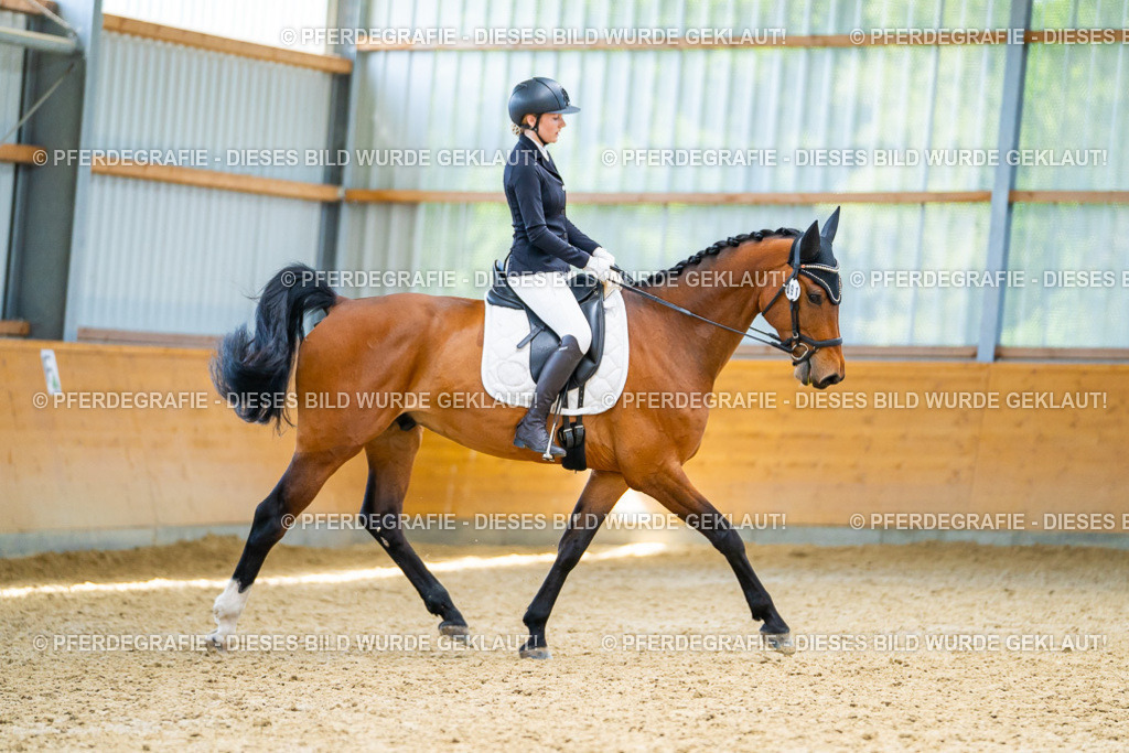 DSC09246 | Pferdegrafie