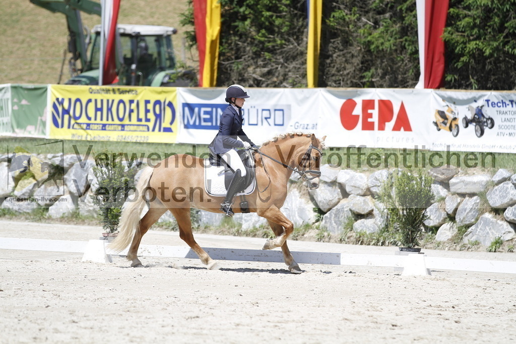 _MG_5089 | equestrian-live-com