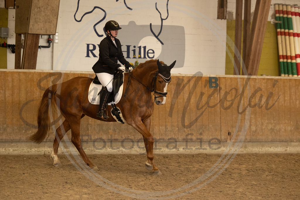 994A9280 | sabrinanicolaifotografie - Realisiert mit Pictrs.com