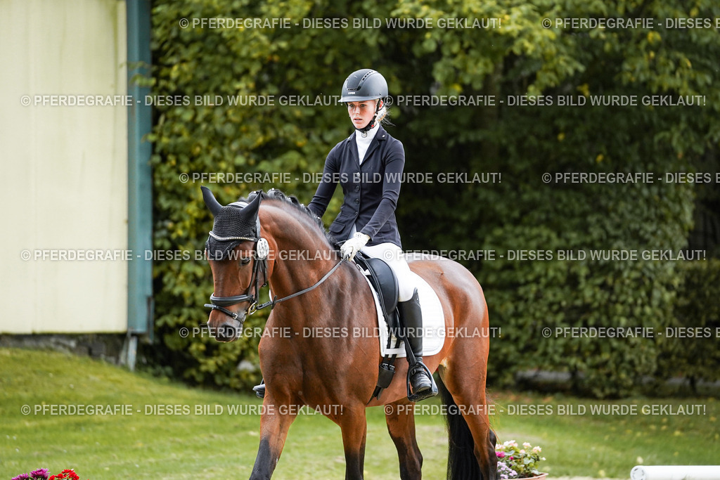 DSC06375 | Pferdegrafie