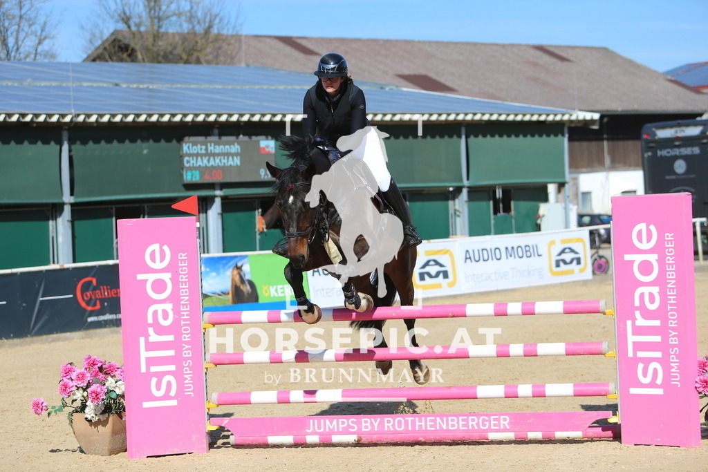 DL2Q1079 | Willkommen bei Brunnmayr - Design & Fotografie – Ihrem Spezialisten für Reitturniere und Pferdeveranstaltungen in Oberösterreich, Salzburg und Bayern! Seit über 17 Jahren sind wir leidenschaftlich dabei.