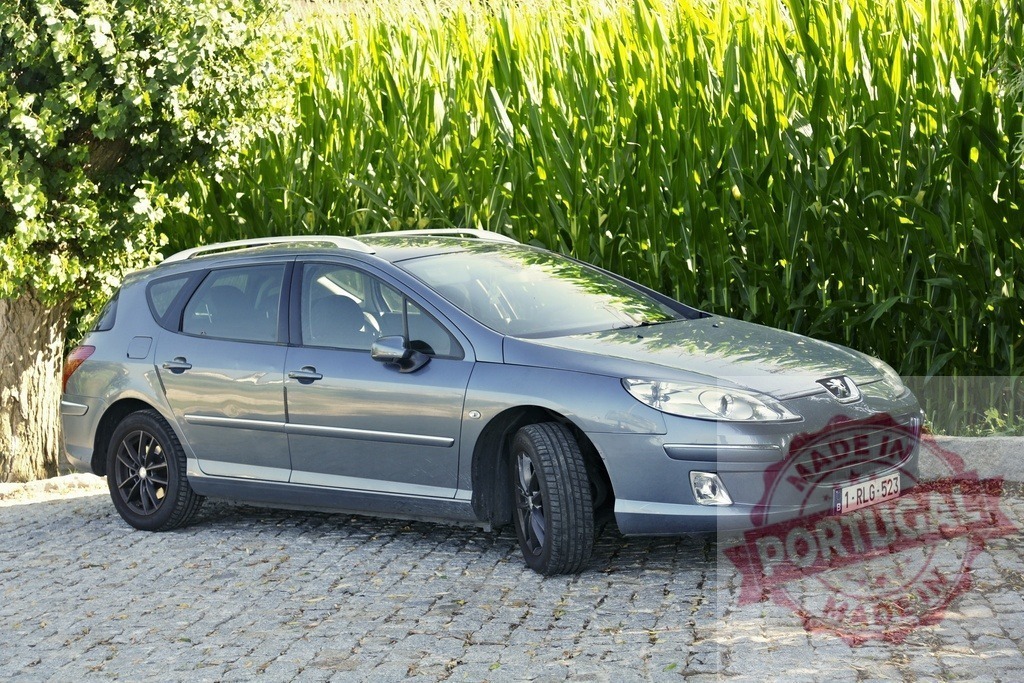 Peugeot 407 SW station Wagon parking on cobblestone street near cornfield | Grey Peugeot 407 SW station wagon parked on a historic cobblestone street by a green cornfield - Realisiert mit Pictrs.com