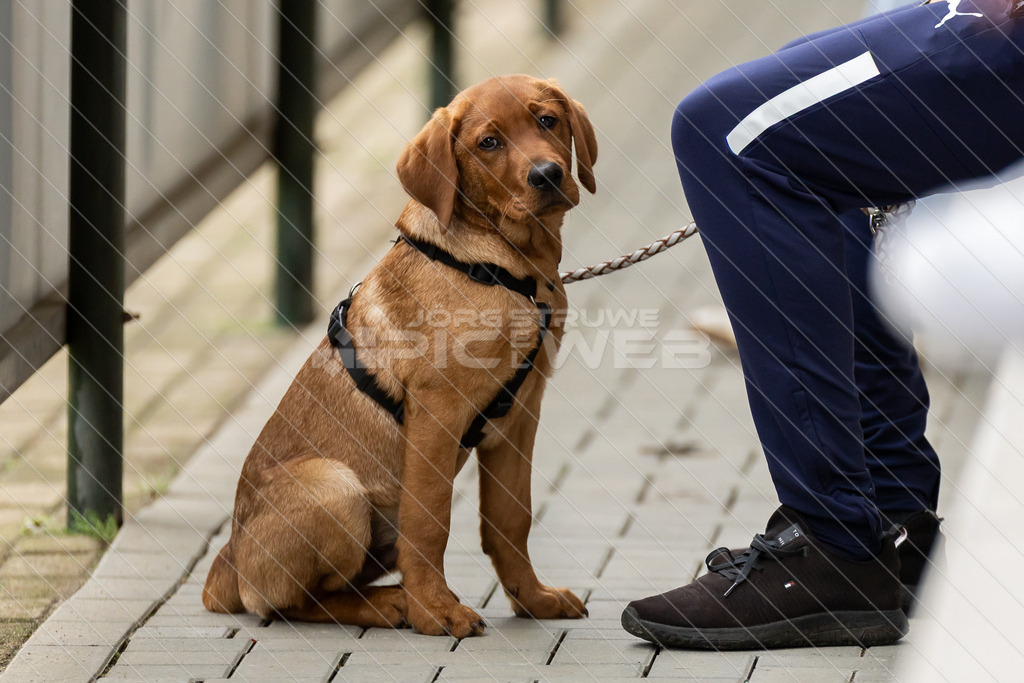 20250706_Picselweb-Fotografie_1R3_1738 | Dein Fotograf aus dem Landkreis Stade für Sport und Events - Realisiert mit Pictrs.com