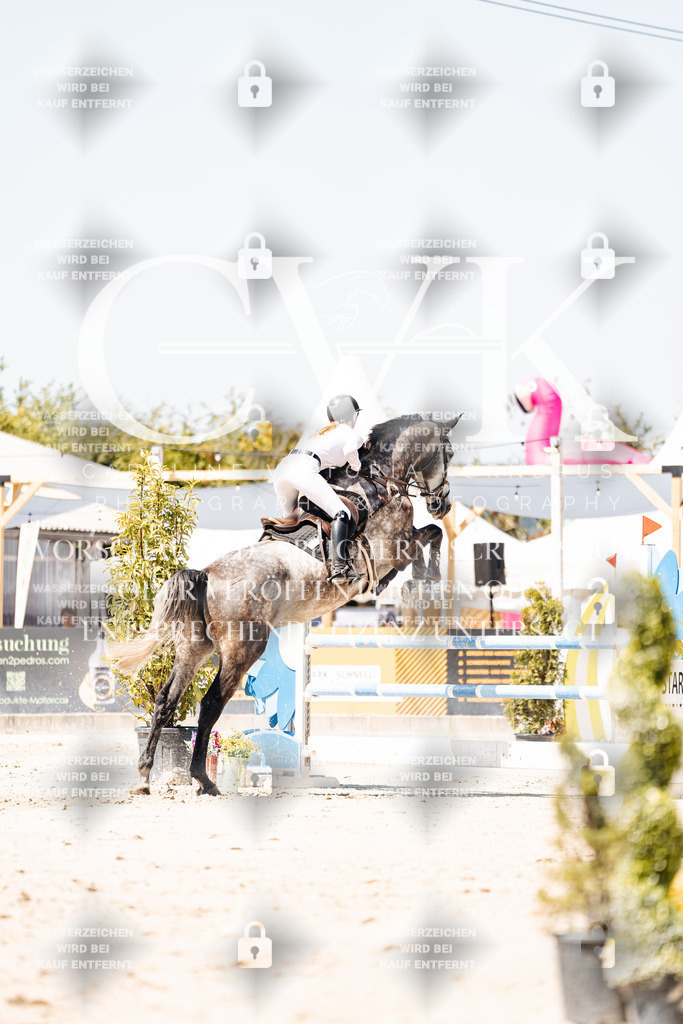 CK900006 | Turnierfotografie Pferdefotografie Trier Rheinland-Pfalz Pferdesport Reitsport Tierfotografie Sportfotografie Pferdevideo Pferdevideografie Equestrianvideography equestrianphotography  - Realisiert mit Pictrs.com