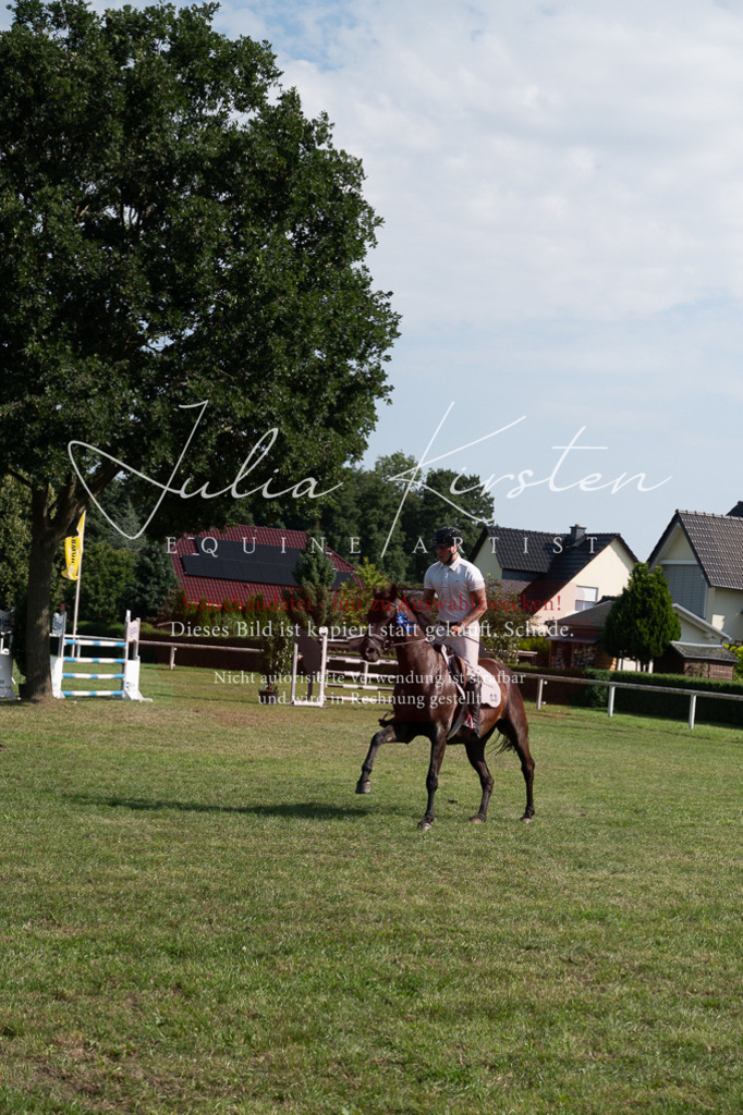 DSC_1043 | Pferde- und Turnierfotografie in Westsachsen. Pferdeportraits, Auftragszeichnungen und intuitive Kunst.