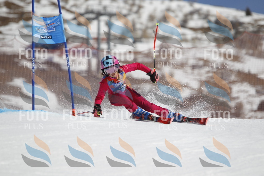 _U3G9766 | holidayphoto