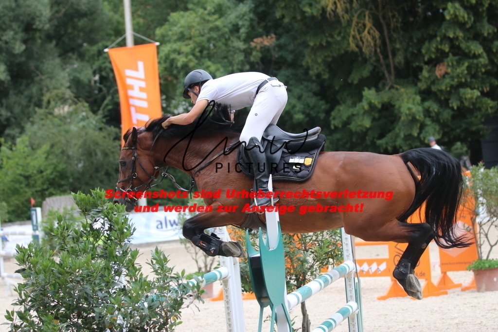 IMG_8124 | lmwpictures - Realisiert mit Pictrs.com