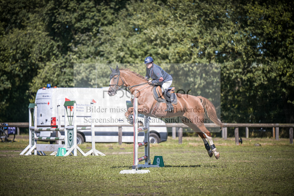 DOS_1048 | Entdecke hochwertige Reitturnierfotos von Foto Oger. Professionell, emotional und authentisch – jetzt Lieblingsmomente im Shop bestellen.Deutschlandweite Turnierfotografie. - Realisiert mit Pictrs.com