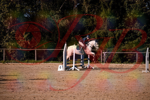 2026_10_03_Siefer-Hof_154542_Z81_64390505 | Professionelle Reitsport-, Turnier- und Eventfotografie von Robert Broda. Galerien mit ausgewählten und bearbeiteten Bildern direkt online ansehen und bestellen.