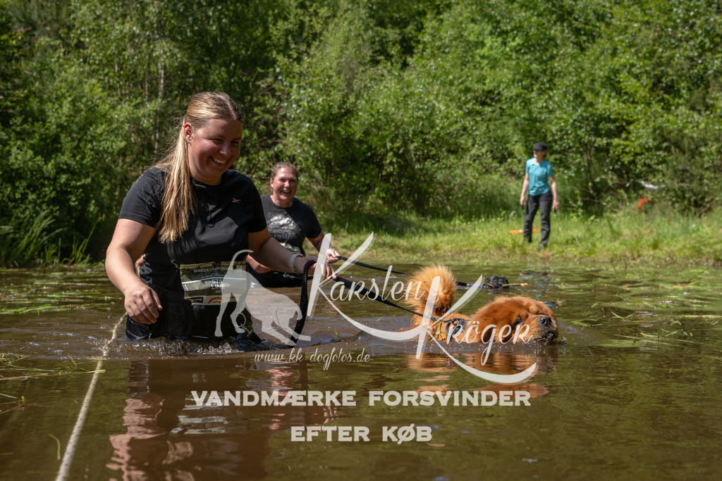 DK K991758141425 | kk-dogfotos