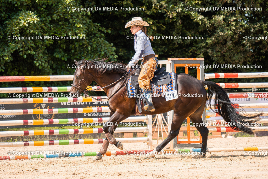 ZH100336 | dv-media-shop - Realisiert mit Pictrs.com