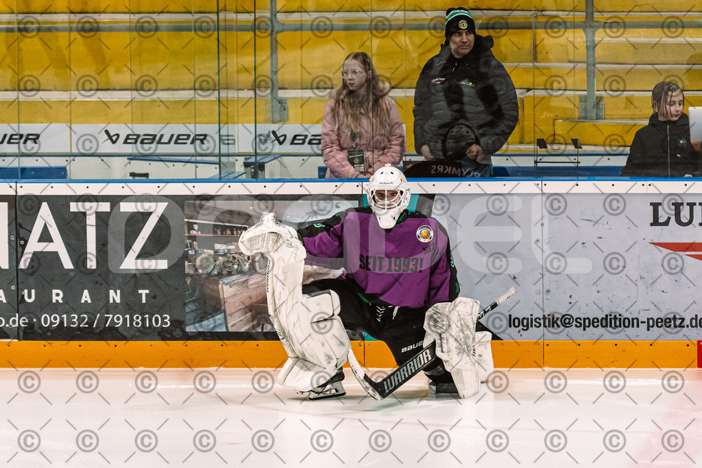 Alligators_vs_Erding_12_12_2025-004 | Höchstadt Alligators Fotogalerie: Eishockey-Action aus Franken. Professionelle Spielfotos, Portraits & Stadionbilder zum Download. Jetzt entdecken! - Realisiert mit Pictrs.com