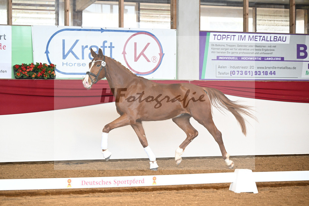 Kat-Nr. 49 Don Quijote v. Don Royal_Beuter_16250238 | hf-fotografie - Realizzato con Pictrs.com