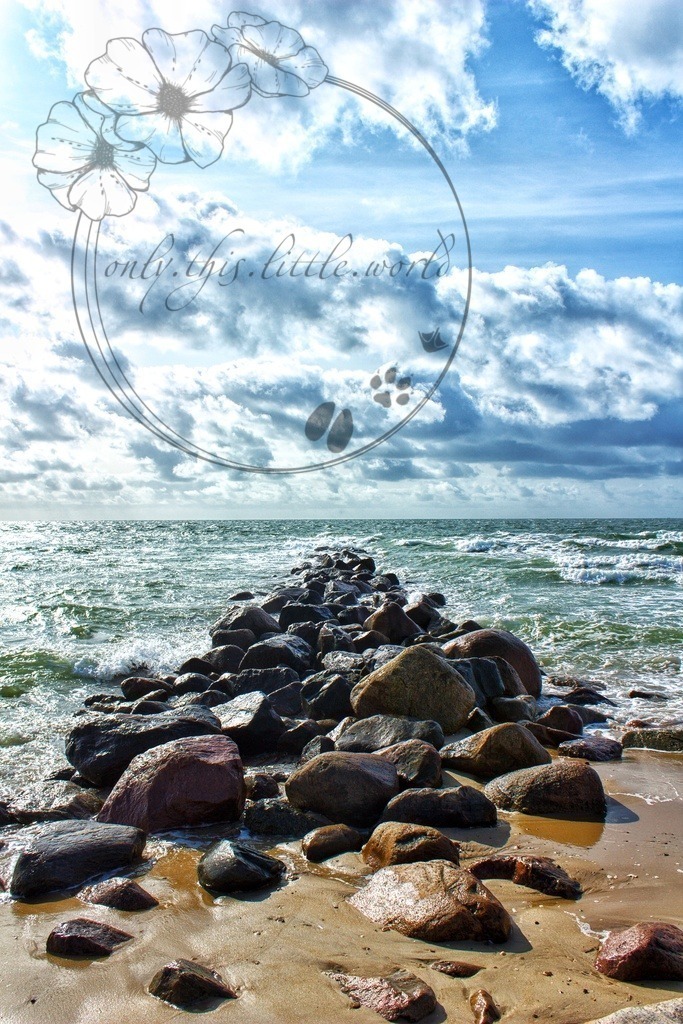 IMG_8053-02 | only.this.little.world - Realisiert mit Pictrs.com