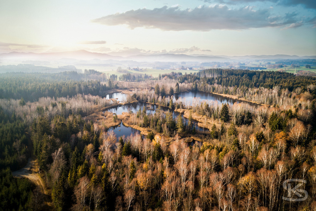 Wunderschöne Allgäu-Landschaft aus der Luft – Moorlandschaft, Wälder und Alpenpanorama | Atemberaubende Luftaufnahme einer Moorlandschaft mit sanften Hügeln, dichten Wäldern und Alpenblick. Idylle, Weite und Natur pur – perfekte Morgenstimmung für Tourismus & Inspiration. - Realisiert mit Pictrs.com