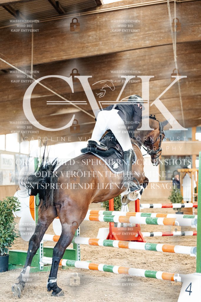 CK905261 | Turnierfotografie Pferdefotografie Trier Rheinland-Pfalz Pferdesport Reitsport Tierfotografie Sportfotografie Pferdevideo Pferdevideografie Equestrianvideography equestrianphotography  - Realized with Pictrs.com