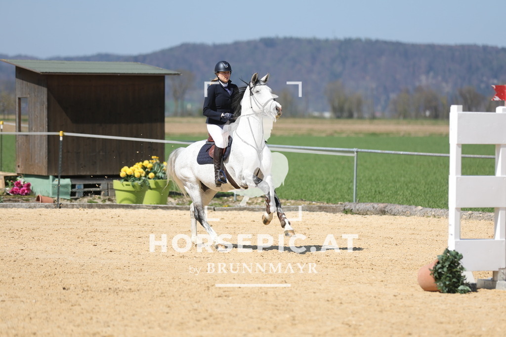 0P6A1180 | Willkommen bei Brunnmayr - Design & Fotografie – Ihrem Spezialisten für Reitturniere und Pferdeveranstaltungen in Oberösterreich, Salzburg und Bayern! Seit über 17 Jahren sind wir leidenschaftlich dabei.