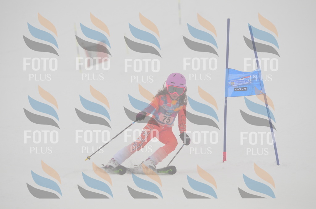 C1200 | holidayphoto