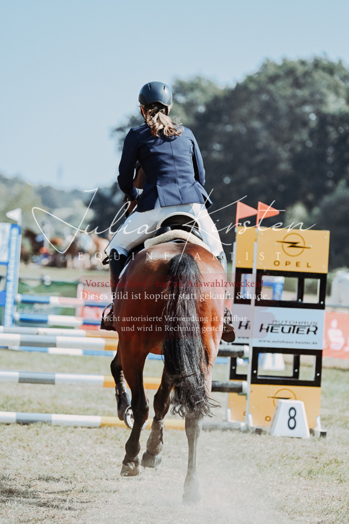 DSC_9402 | Pferde- und Turnierfotografie in Westsachsen. Pferdeportraits, Auftragszeichnungen und intuitive Kunst.