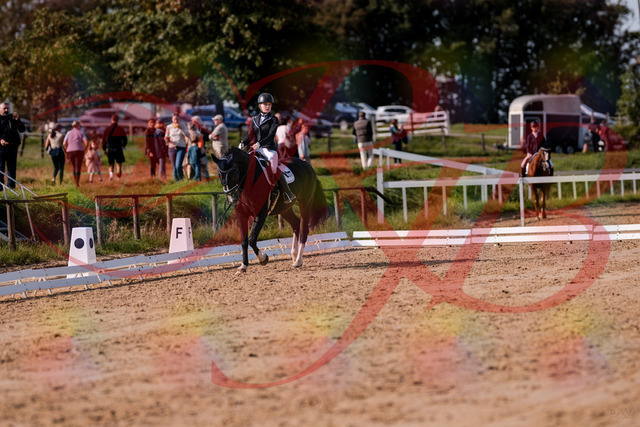 2026_10_03_Siefer-Hof_121551_Z81_17603901 | Professionelle Reitsport-, Turnier- und Eventfotografie von Robert Broda. Galerien mit ausgewählten und bearbeiteten Bildern direkt online ansehen und bestellen.
