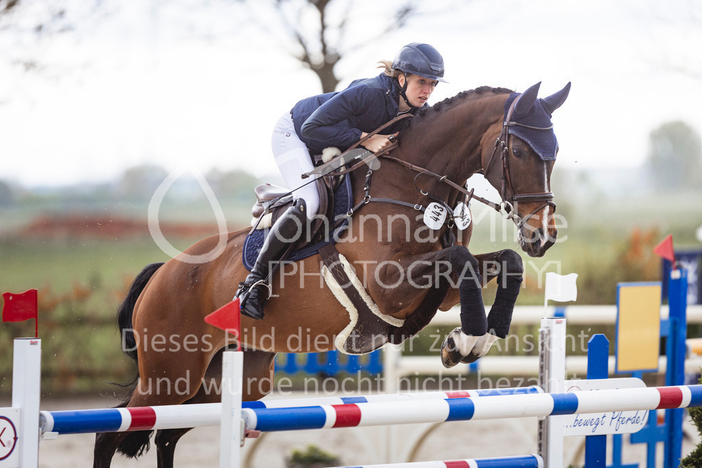 240424_Lemwerder_S-Spr-104 | Deine schönsten Turniermomente als professionelle Fotos! Entdecke hochwertige Pferdesport-Fotografie im Online-Shop. Jetzt Fotos finden & bestellen!