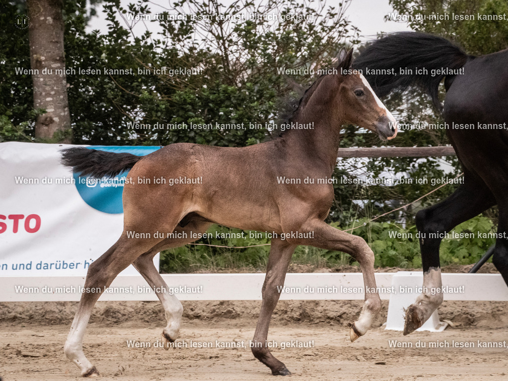A10I9584 | photographylinaismer - Realisiert mit Pictrs.com