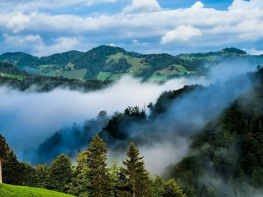 PSX_20220918_223753 | mtkfoto_ - Realisiert mit Pictrs.com