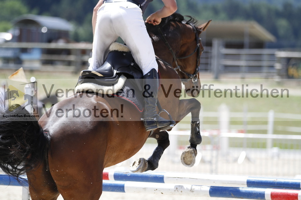 _MG_6852 | equestrian-live-com