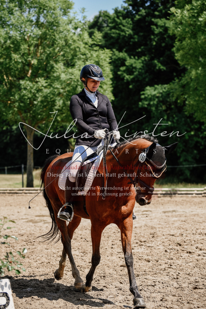 DSC_1887 | Pferde- und Turnierfotografie in Westsachsen. Pferdeportraits, Auftragszeichnungen und intuitive Kunst.