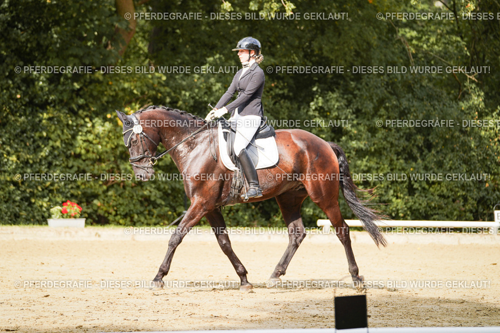 DSC03017 | Pferdegrafie