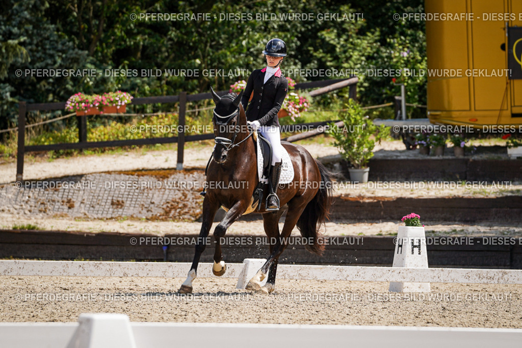 DSC01655 | Pferdegrafie