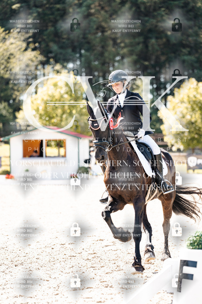 CK904222 | Turnierfotografie Pferdefotografie Trier Rheinland-Pfalz Pferdesport Reitsport Tierfotografie Sportfotografie Pferdevideo Pferdevideografie Equestrianvideography equestrianphotography  - Realisiert mit Pictrs.com