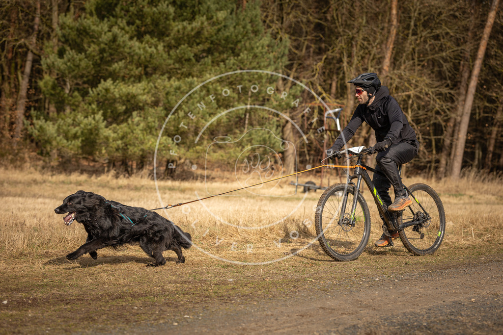 DV3A4402 | Hundefotografie, Tierfotograf, Pfotenfotografie, Fotoshooting Hund, Hunde Portrait, Hundesport, Hundeportraits, Heideshooting, Hunde, Sportfotograf, Hundefotograf, Turnierhundsport, THS,  - Realisiert mit Pictrs.com