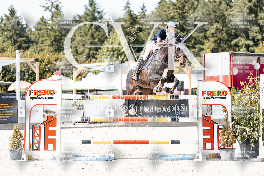CK904757 | Turnierfotografie Pferdefotografie Trier Rheinland-Pfalz Pferdesport Reitsport Tierfotografie Sportfotografie Pferdevideo Pferdevideografie Equestrianvideography equestrianphotography  - Realisiert mit Pictrs.com