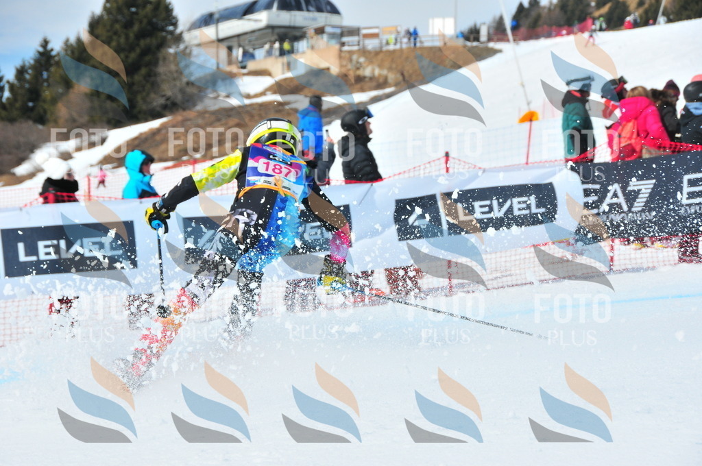 DSC_5446 | holidayphoto