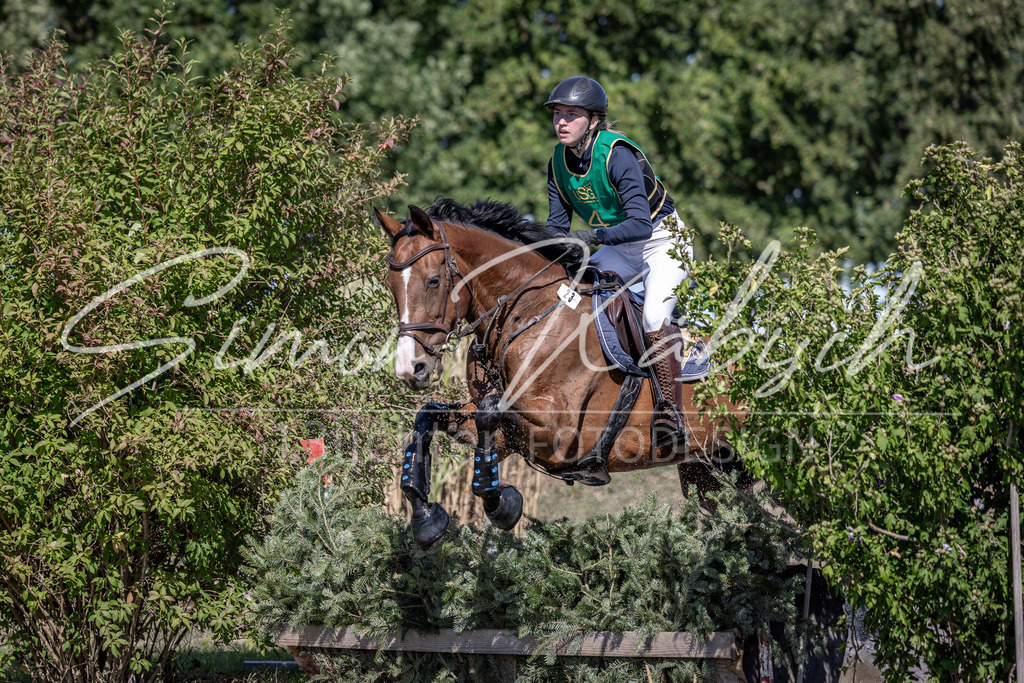 20260906-_3LI5186 | Tierfotografie Pferde, Hunde, Katzen, Haustiere.
Turnierfotografie Reitturniere, Reiten, Springreiten, Dressur in Hanau, dem Main-Kinzig-Kreis und dem Rhein-Main- Gebiet um Frankfurt